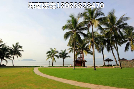 万宁兴隆美丽春天 万宁兴隆美丽春天