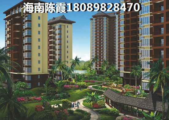 万宁石梅湾买房子