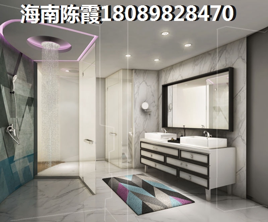 贷款海南买房,收入证明