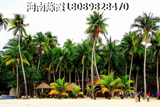 万宁房价走势