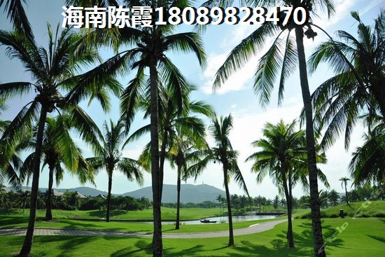 67.jpg