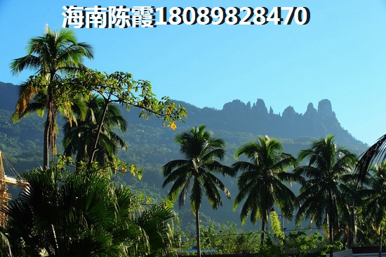 椰林居养生花园买房的正确姿势~