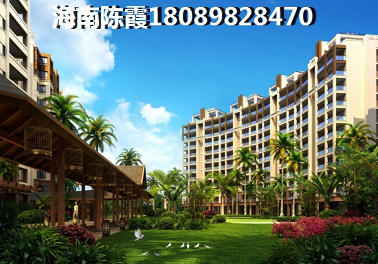 海南万宁石梅湾哪个地段会生纸